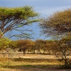 IMG_101_023951