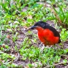 IMG_101_023956