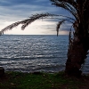 IMG_101_023960