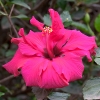 img_101_023302
