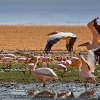 img_101_023638