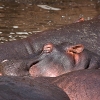 img_101_023807