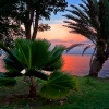 img_101_023976