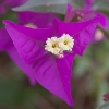 img_101_024364