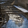 IMG_101_032081