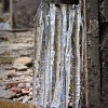 img_101_020286