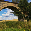 IMG_90D_13_107585