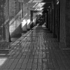 IMG_101_7840_sw