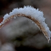 img_101_024923