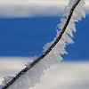 img_101_2756