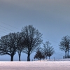 IMG_90D_102530