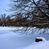 IMG_90D_102568