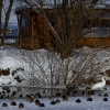 IMG_90D_102585