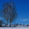IMG_90D_102596