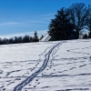 IMG_90D_102597