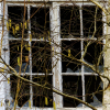 24_IMG_90D_108464