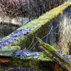 38_IMG_90D_108527