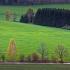IMG_101_030791
