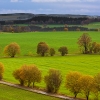 IMG_101_030792