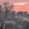 IMG_101_9264