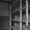 IMG_90D_105390_sw