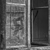 IMG_90D_105404_sw