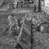 IMG_90D_105415_sw
