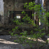 IMG_90D_103960