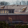 IMG_101_014520