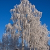 IMG_101_027880