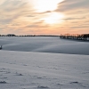 IMG_101_9455