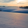 IMG_101_9465