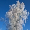 img_101_027892