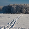 img_101_027949