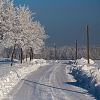 img_101_027961
