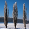 img_101_028000