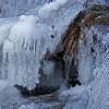 img_101_028099