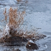 img_101_028129