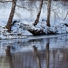img_101_028138