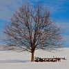 img_101_028141