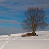 img_101_028153