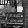 IMG_90D_105486_sw