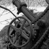 IMG_90D_105492_sw