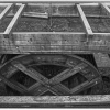 IMG_90D_105499_sw